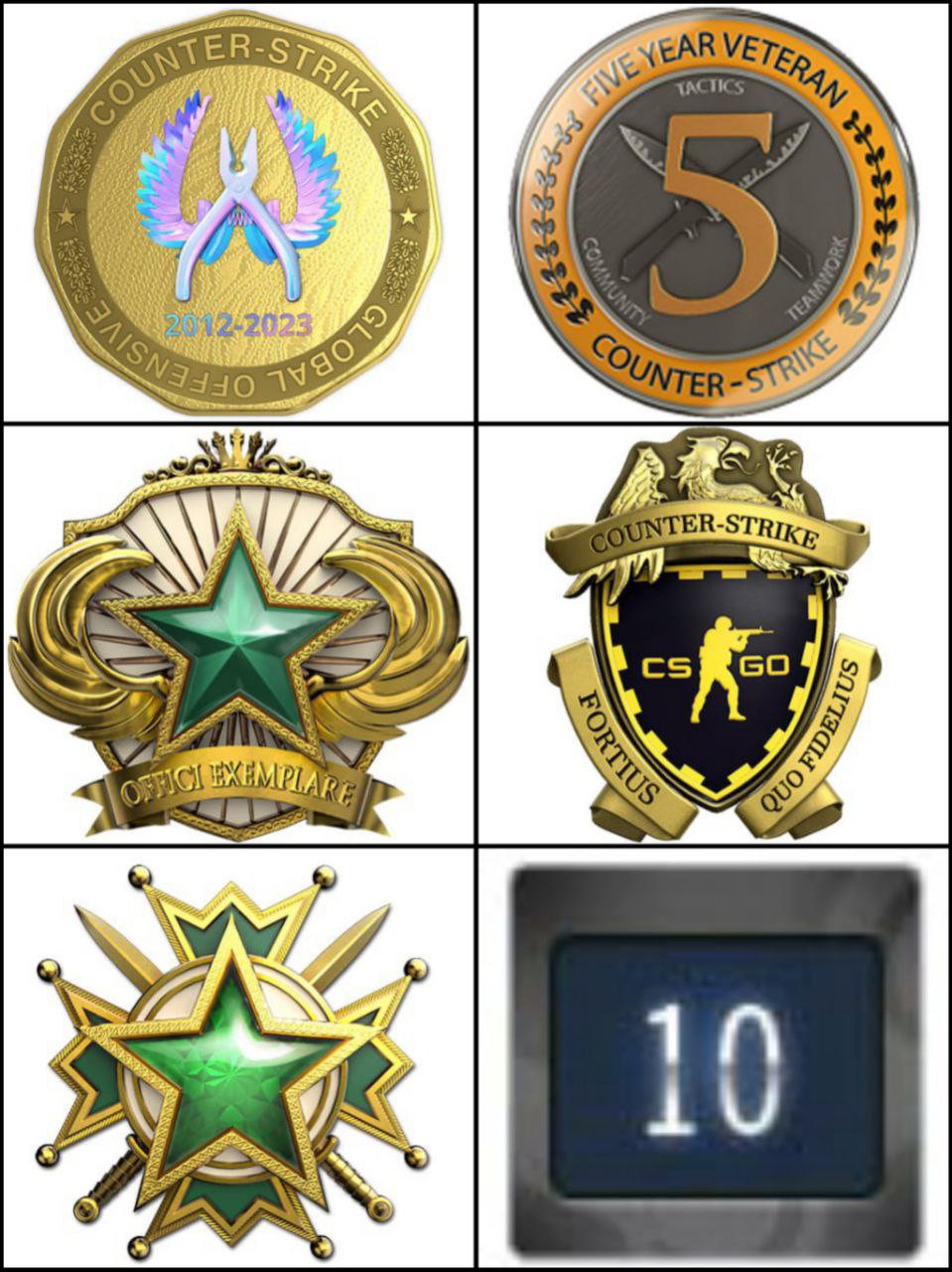 CS2 Prime 1463 Hours 5Medals 2019 2018 Service Medal Loyalty Badge 5