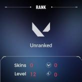 [AP] // Valorant Ranked Ready // Level-20 // Instant delivery 24/7 // Full access