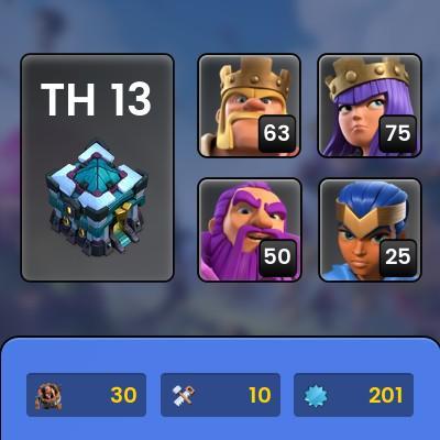 Clash of clans/town hall 13 full max/hero(65.max)/wall(max)/4 skin hero/magic items/level 201/300 medal/Life time warranty/E8/peak blinders game