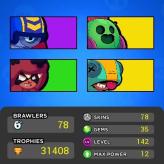 78/78 Brawlers | Maxed Brawlers | Instant Delivery