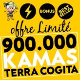 Best seller ! 900,000 DE KAMAS Terra Cogita Dofus Touch livraison rapide + bonus achat kamas acheter /igofus
