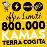 Best seller ! 800,000 DE KAMAS Terra Cogita Dofus Touch livraison rapide + bonus achat kamas acheter /igofus