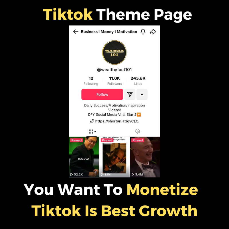 tiktok-theme-page-in-business-niche-with-real-targeted-followers-igv