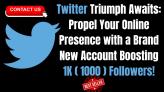 TWITTER 1000 FOLLOWER NEW CREATED ACCOUNTS WITH 1K FOLLOWERS HIGH QUALITY