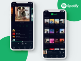 Buy Spotify premium account – Auto renewal