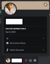 December Dec Aged DISCORD 2023 account + Email access + Fast delivery