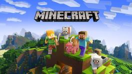 Microsoft - Minecraft PREMIUM Java Edition | MAIL ACCESS | NO BAN Hypixel - Full Access - Fast delivery