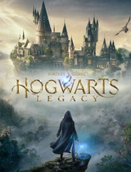 [STEAM] Hogwarts Legacy Account | Full access | Can Change Data | Fast Delivery