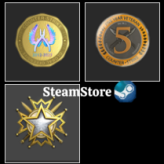 CS2 Prime+Dota(Previous Rank: Crusader 1)+Last Online 3 year ago+NO VAC+(2019 Service Medal+5y+Global Offensive Badge)+511hours #