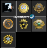 HOT!->2017 , 2018 , 2021 Service Medal<-+Last Online 2 year ago+(Global Badge+Loyalty+5 Year MEDALS)+CS2 Prime+NO VAC+842 hours #