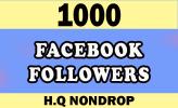 1K Facebook Followers Real [High Quality] 100% Real Peoples | 1000 Facebook Followers [Fast delivery] 15 Min with lifetime warranty! 
