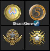 CS2 Prime+Last Online 2 year ago+NO VAC+(2019, 2021 Service Medal+Global Offensive Badge + 5Y )+646 hours #