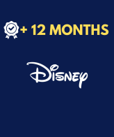 Disney Plus Private Account For 12 Months INSTANT Delivery Guaranteed Global - WARRANTY Disney Premium Account For Year  