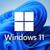 Windows 11 PRO 100% Online Activation KEY 