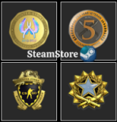 CS2 Prime+Last Online 3 year ago+NO VAC+(2017 Service Medal+Loyalty Badge+Global Offensive Badge + 5Y )+969 hours #