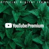 youtube premium for 2 month indplan - fullwarranty - trusted