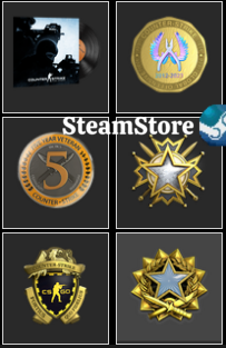 CS2 Prime+Last Online 3 year ago+NO VAC+(2017, 2019 Service Medal+Loyalty Badge+Global Offensive Badge + 5Y )+577 hours #