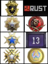 CS2 Prime 2010 hourse+6Medals(2015 Service Medal)+Rust+13Years of Service+36Game