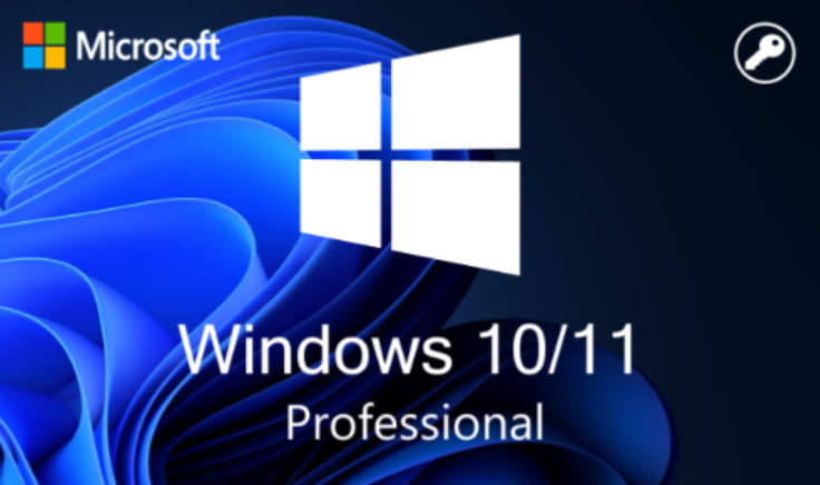Windows 10/11 Pro 32/64 bit license key