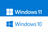 Windows 10/11 Professional Key 32/64 Bit Online Activation with Warranty Auto Delivery
